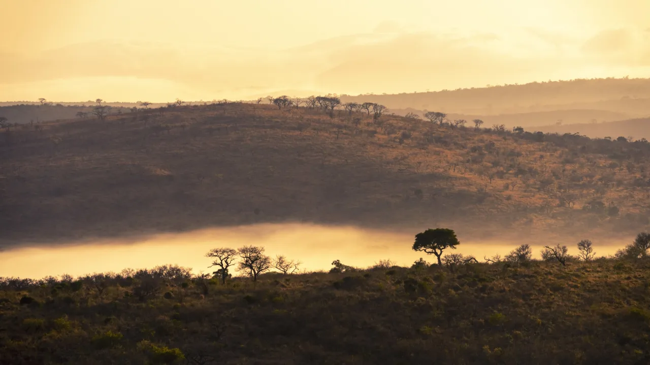 Soft morning light across an open landscape