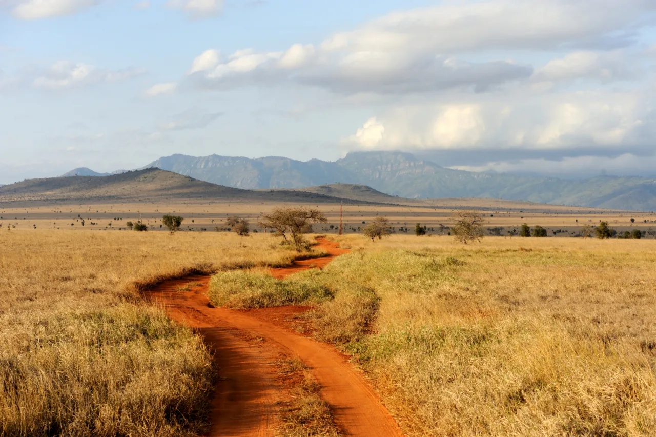 A track crossing an open landscape