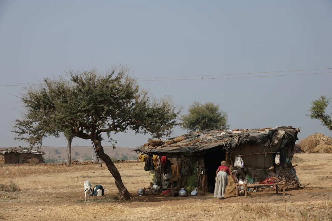 People beside a rural shelter under trees