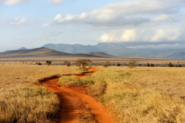 Open grassland and distant hills beneath a cloudy sky