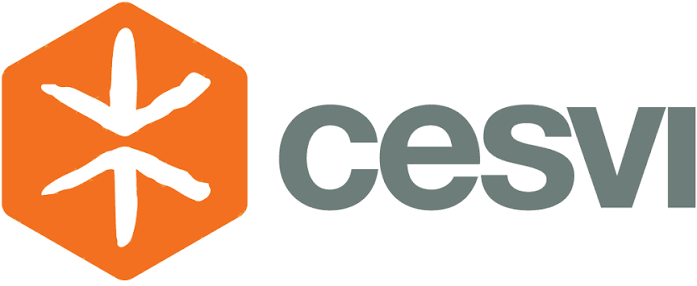 CESVI